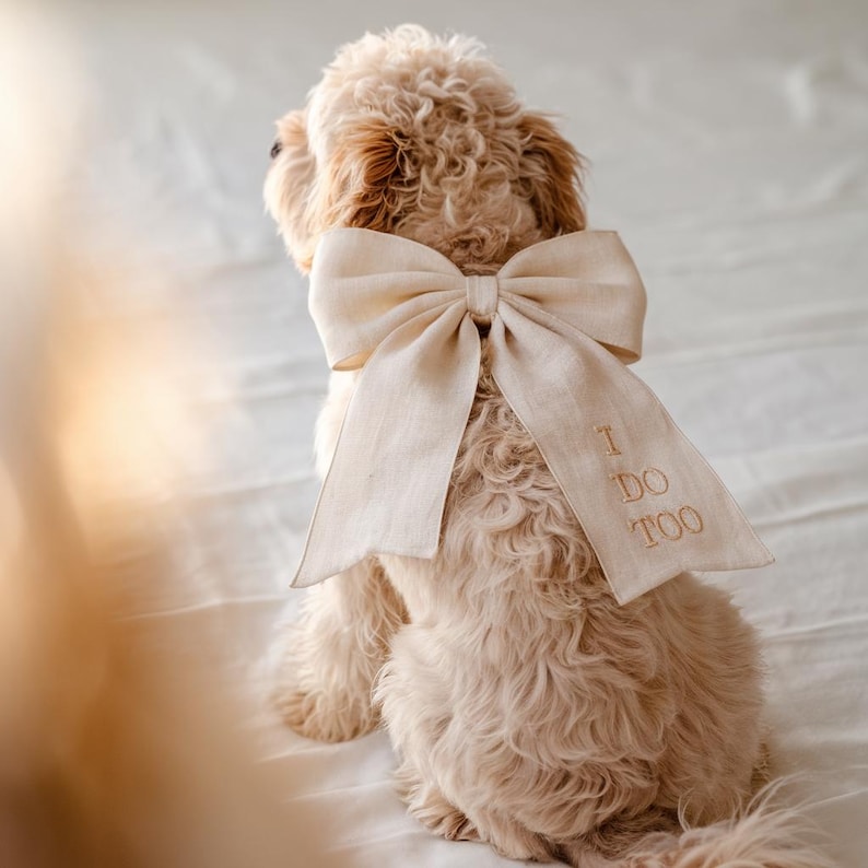 Personalized Linen Dog Bow, Embroidered Name Pet Collar Bowtie for Wedding, Proposal, Engagement