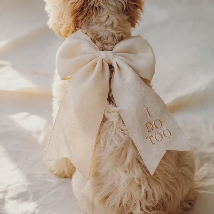Personalized Linen Dog Bow, Embroidered Name Pet Collar Bowtie for Wedding, Proposal, Engagement